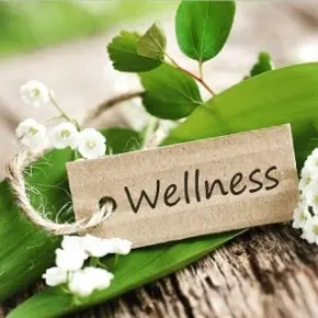 Wellness tag resting on green leaves and white flowers