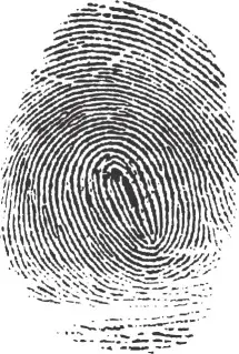 Fingerprint closeup