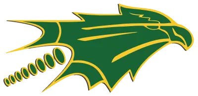 Newcomb Skyhawk Logo