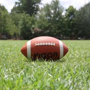 Football resting on grass