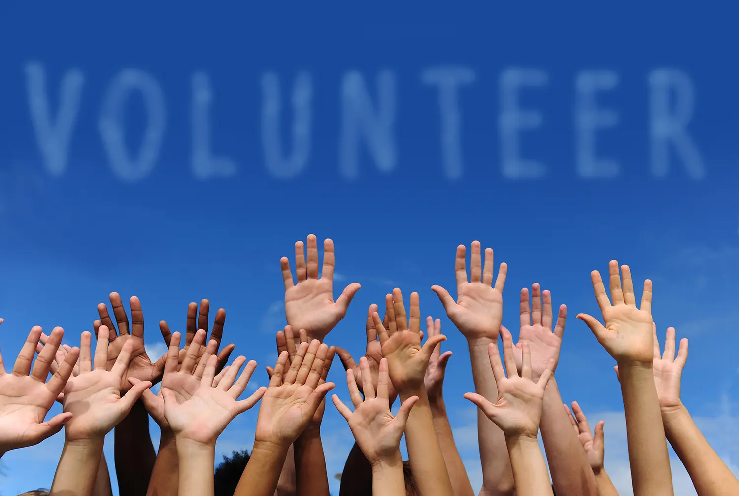 volunteers raising their hands