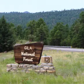Gila National Forest