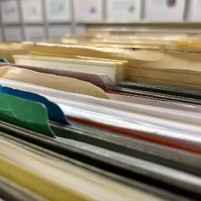 Files in a cabinent