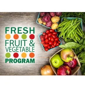 fresh fruit and vegetable program