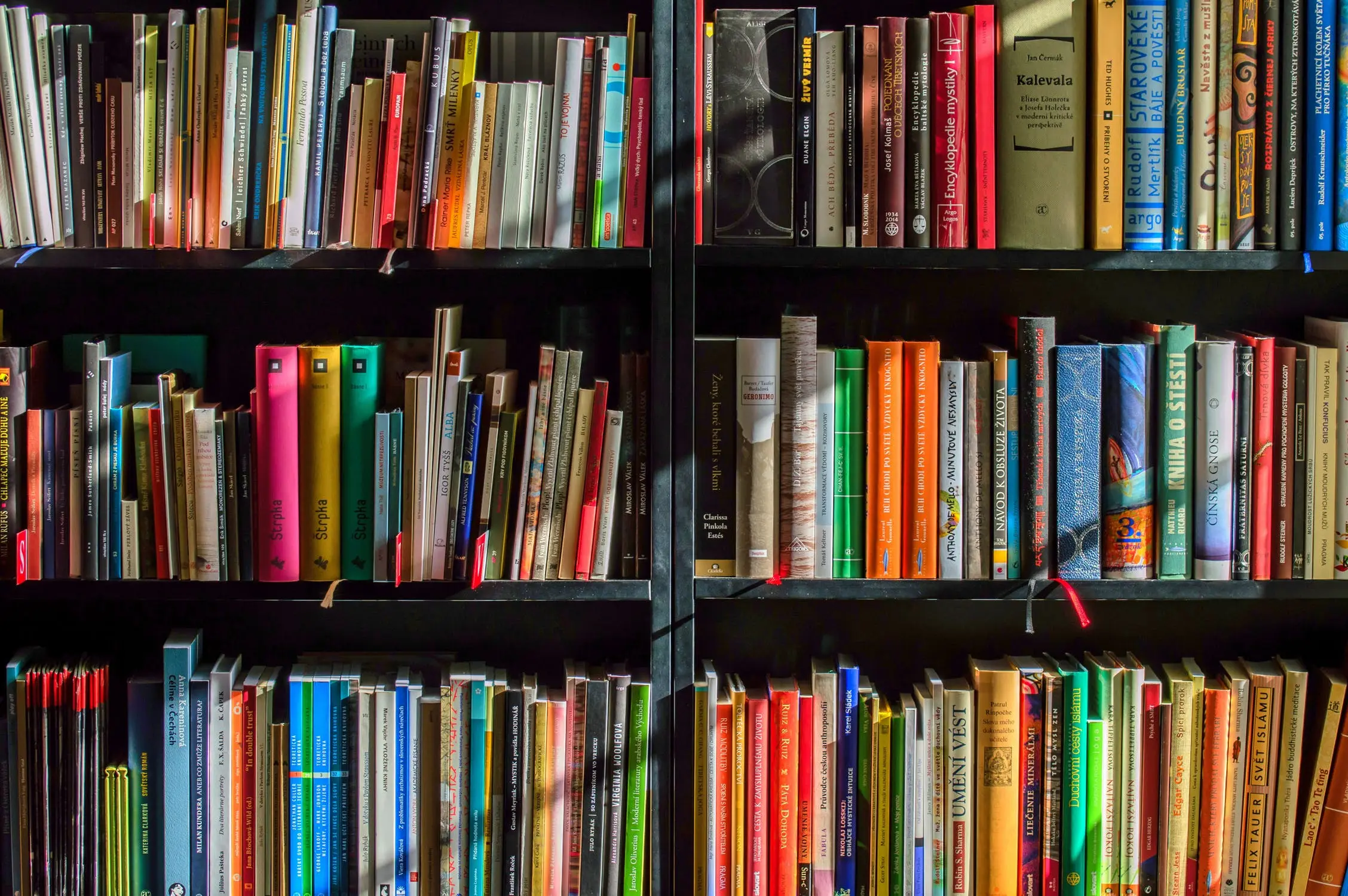 library shelf of books