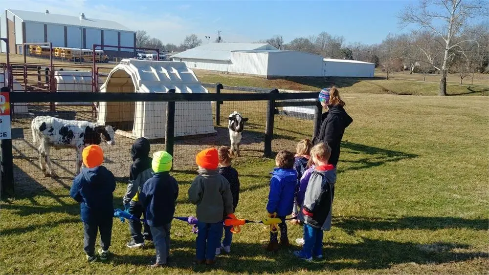 Kids and cows