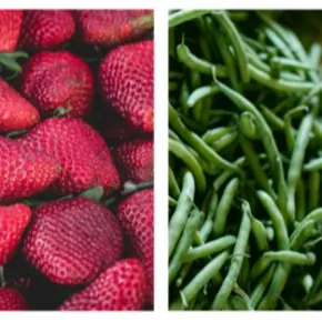 Nutrition Information