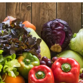 backpack food program