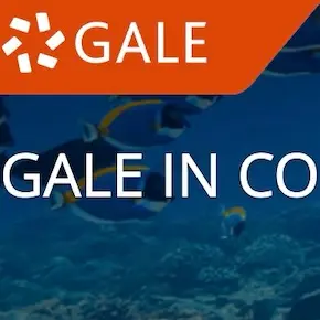 Gale in Context