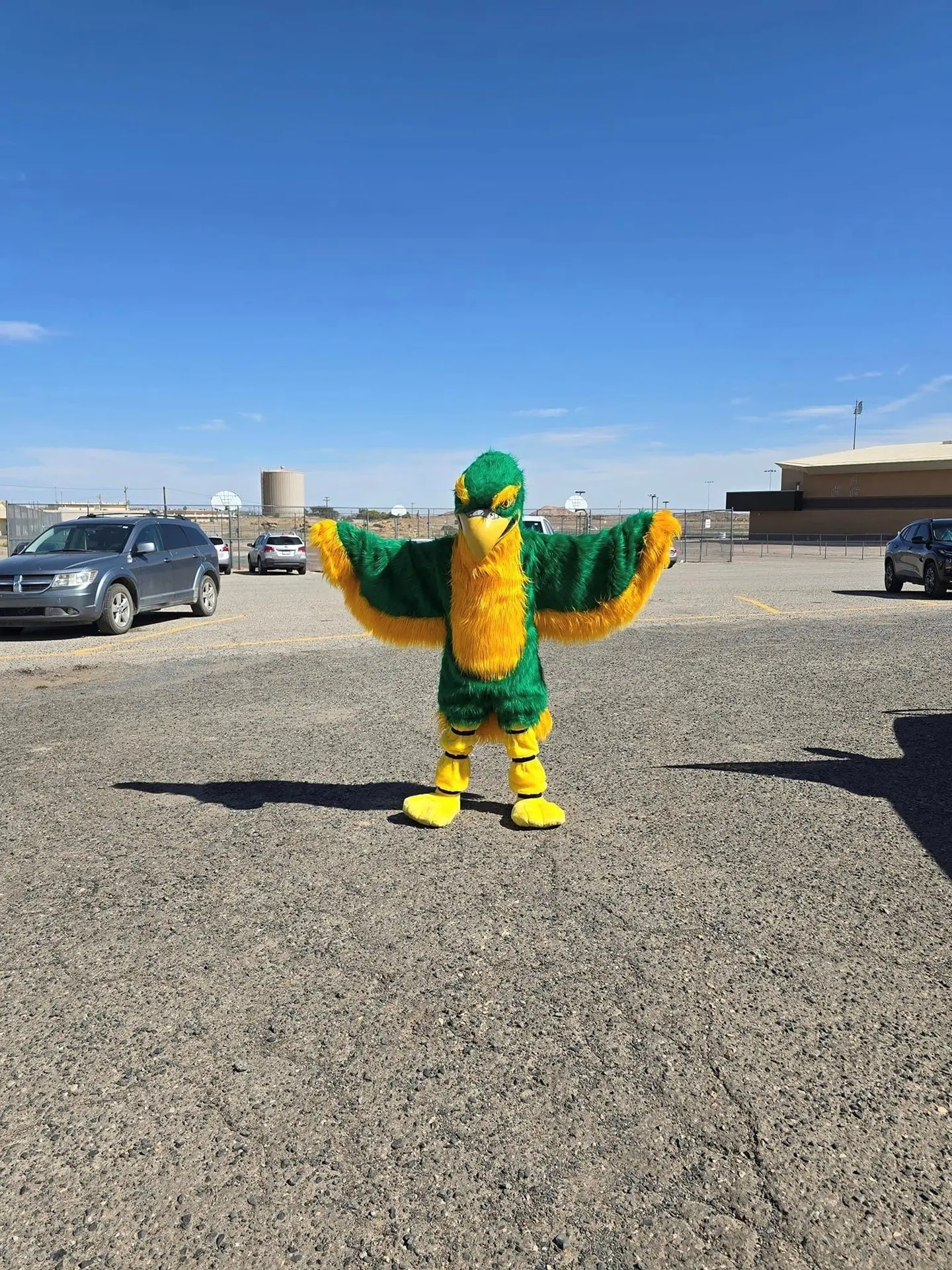 Skyhawk Mascot