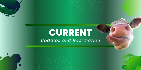 Current Updates & Information