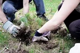 Helping our planet