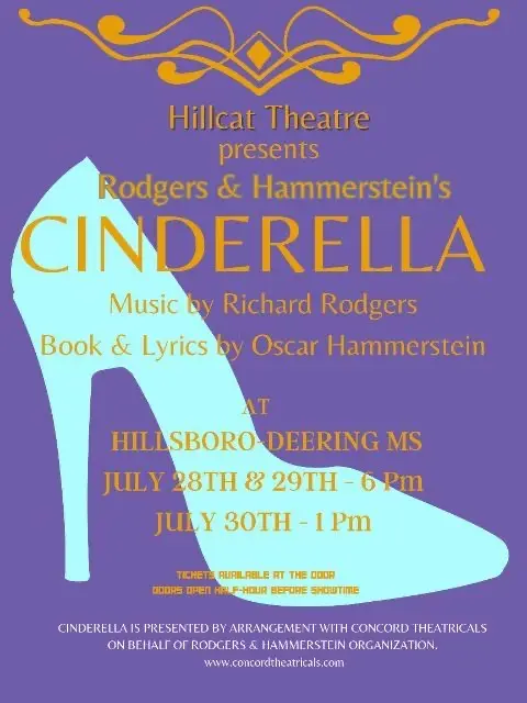 Cinderella Flyer