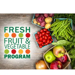 Fruits and Vegetables