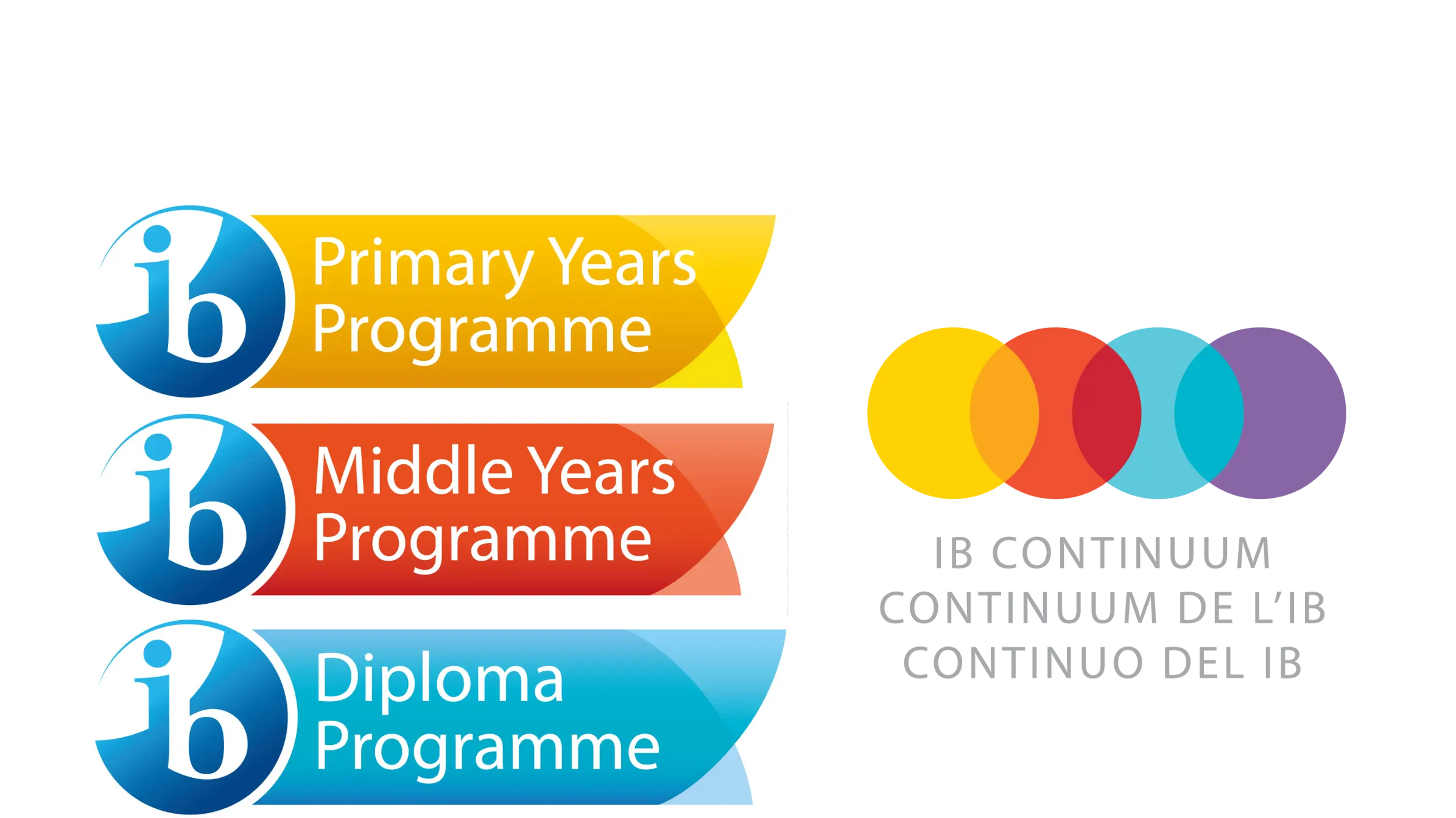 IB Program