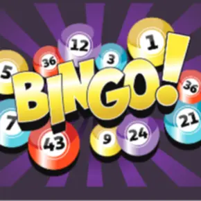 Music & Trivia Bingo Night Volunteers/Donations