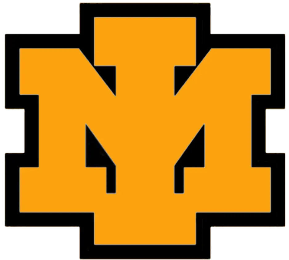 block IM logo gold