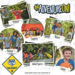 Cub Scouts 