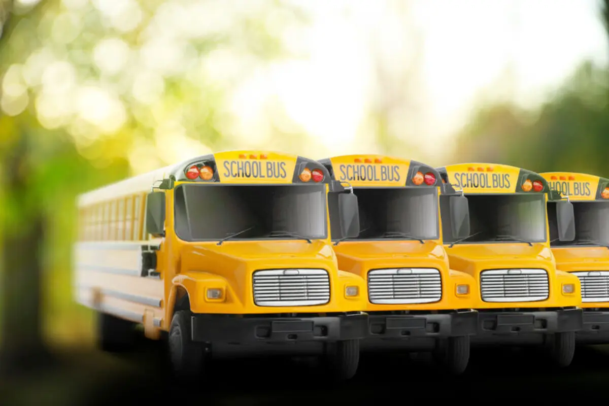 School buses in a row