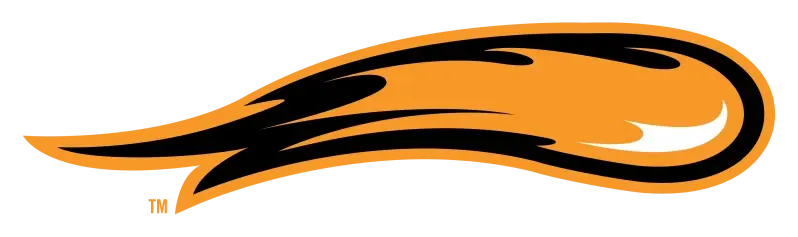 Comets logo