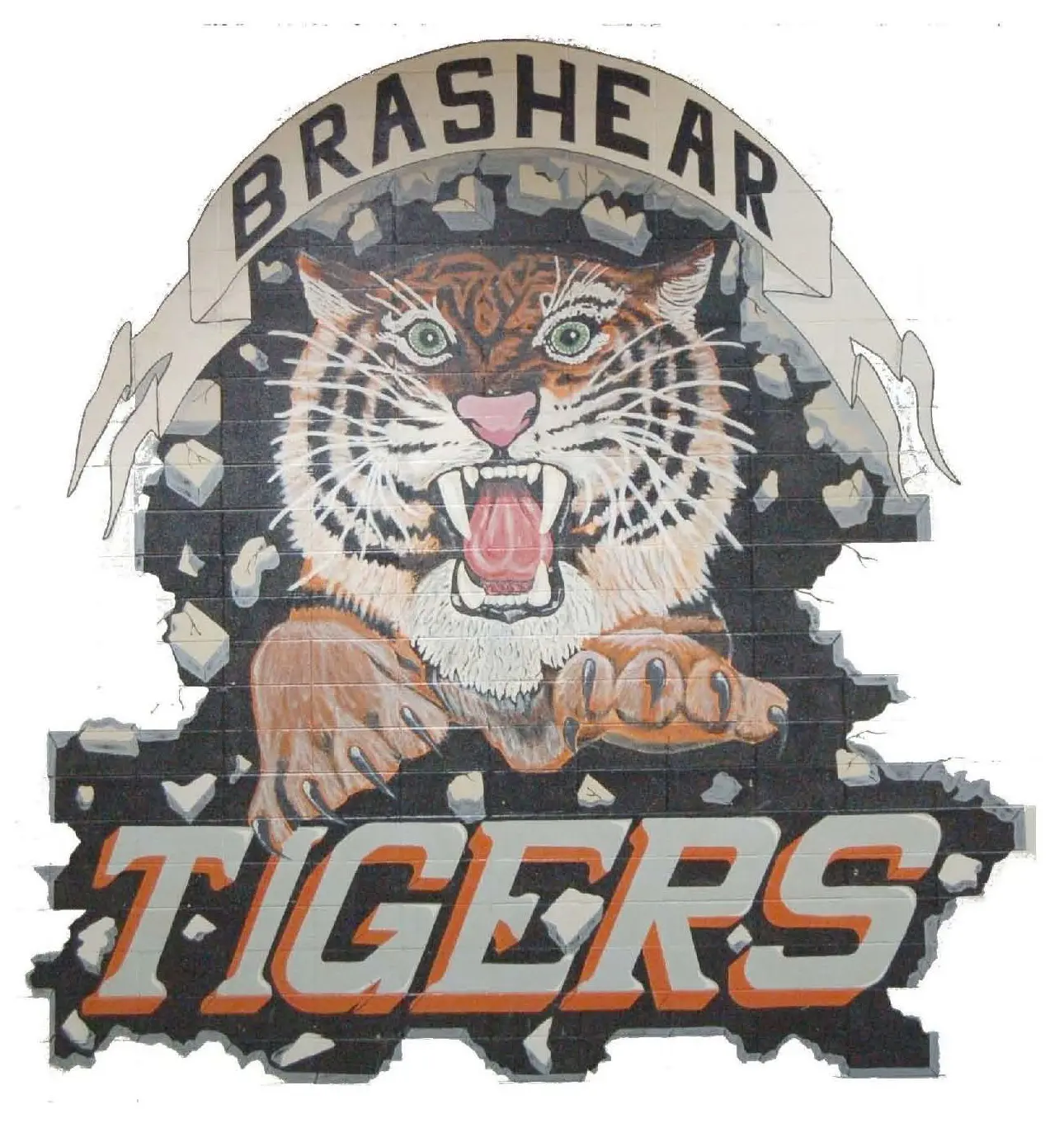 Brashear Tiger Image