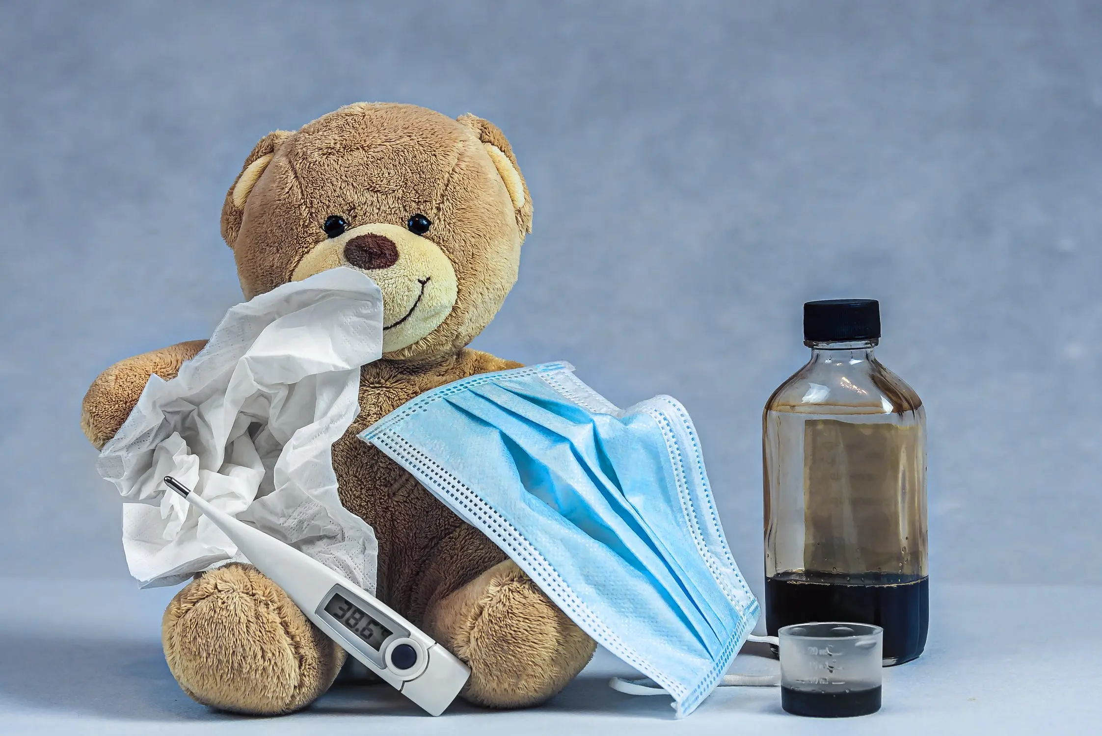 Nurse Bear
