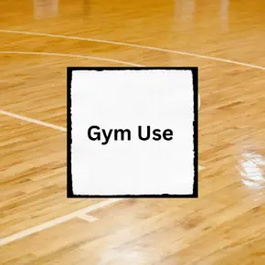 basketball court floor with icon in the middle