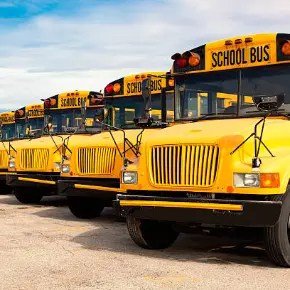 School Buses