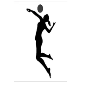 Volleyball player in silhouette 