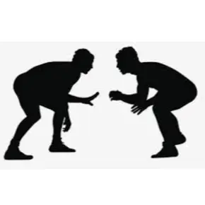 Wrestling figures in silhouette 