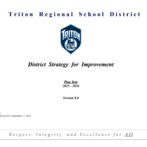 District Strategy for Improvement