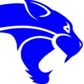 Wildcat