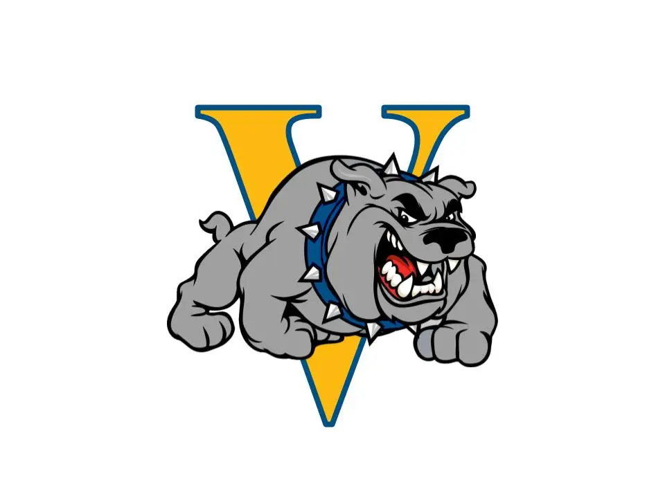 Gray bulldog with blue collar infront of yellow letter "V".